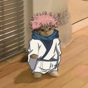 Meet your Posher, Rat